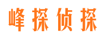 复兴市调查公司